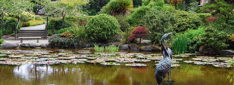 Pond at Shore Acres State Park near Coos Bay, Oregon