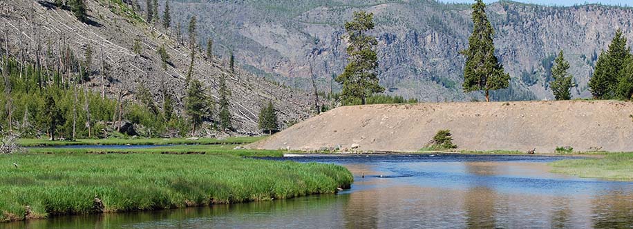 Yellowstone National Park's Madison River